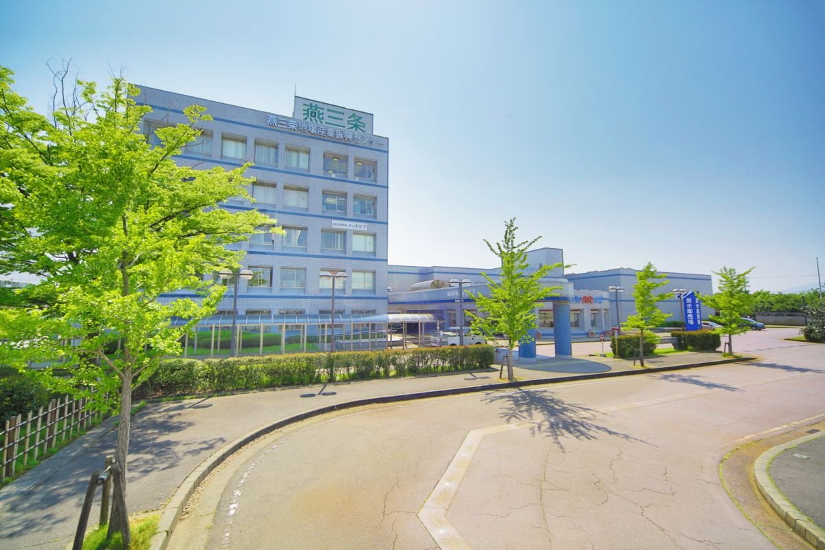 🛍️ 츠바메산조 윙 이미지 5